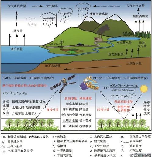 全球土壤水分站点空间代表性及影响评估新方法提出