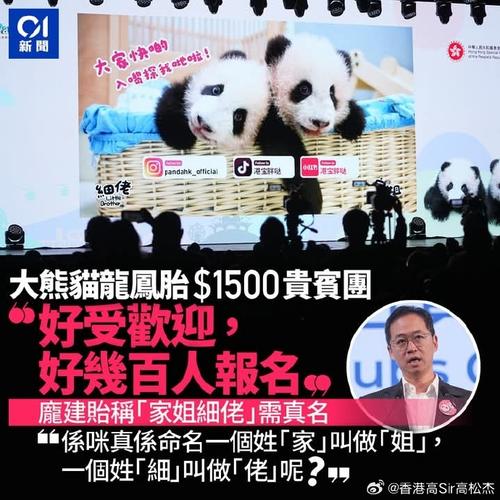 香港正月初二将在维港举行烟花汇演 大熊猫龙凤胎2月16日与公众见面