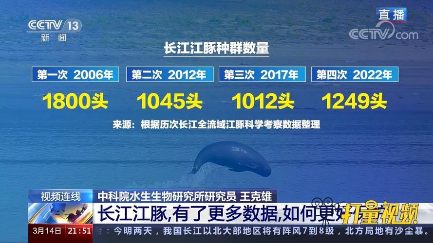 长江“十年禁渔”显成效!江豚数量止跌回升 省科学院专家解读