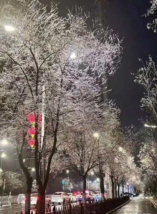 贵州雨雪纷纷贵阳降下今冬初雪 今明天降水减少六盘水等地有冻雨