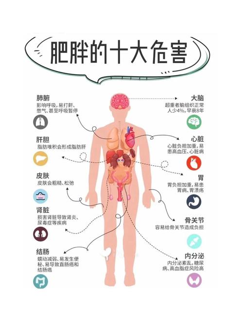 高血压+肥胖,1+1=?