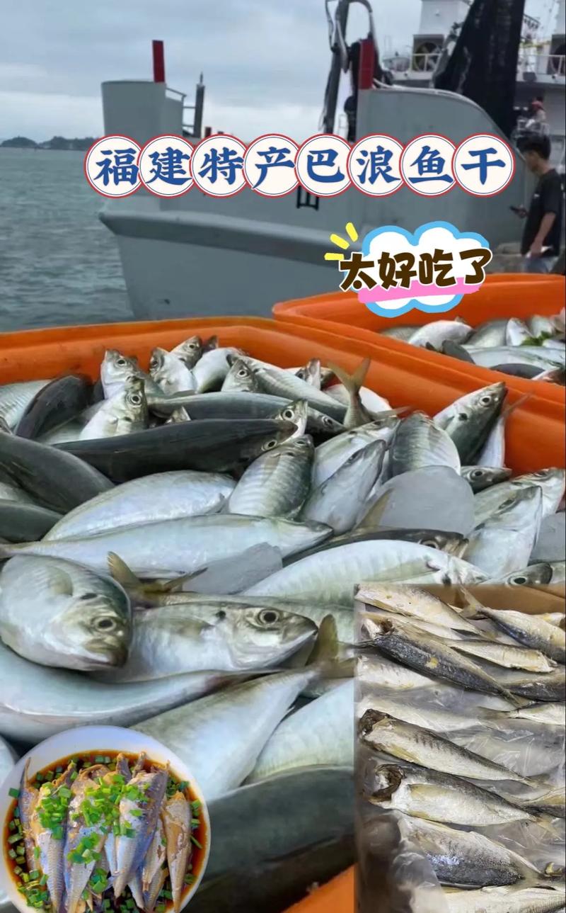 福建技术!巴浪鱼子二代苗种人工繁育成功