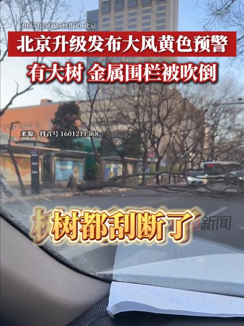 黑龙江省北安市发布大风黄色预警