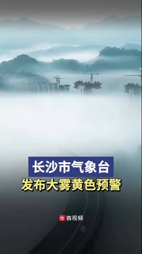 湖南省赫山区发布大雾黄色预警_2
