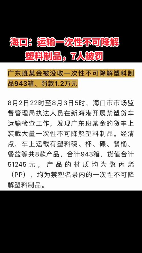 违规运输一次性不可降解塑料制品 海口这名司机被罚1.2万元