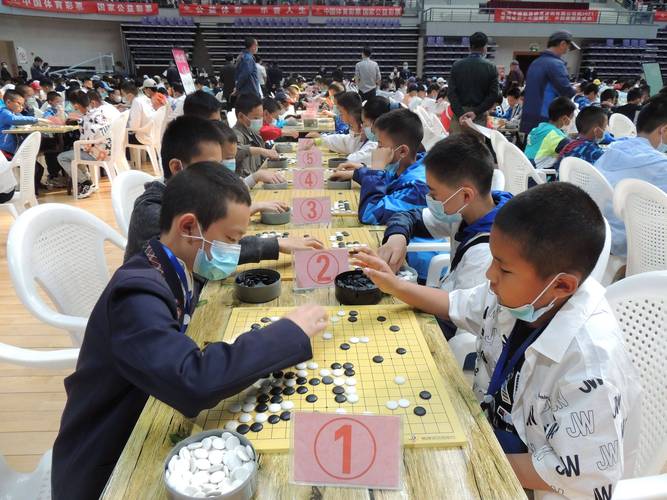 青海千名少年棋手参加2024年围棋定段、升段赛