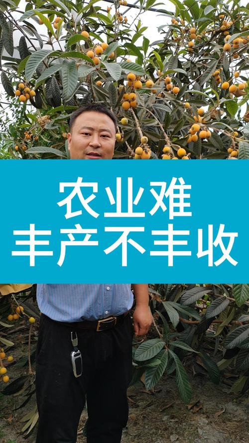 衡山县永和乡:力破小水果“丰产不丰收”困境