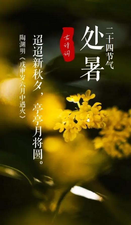 处暑丨暑退秋澄 行止从容
