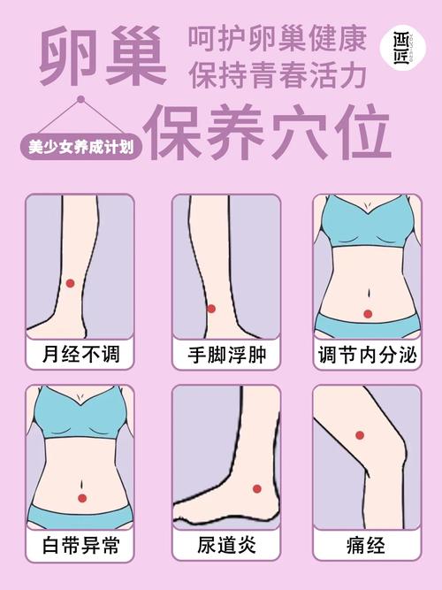 身上这2处是健康“调节器”!按一按、抻一抻,活血养内脏