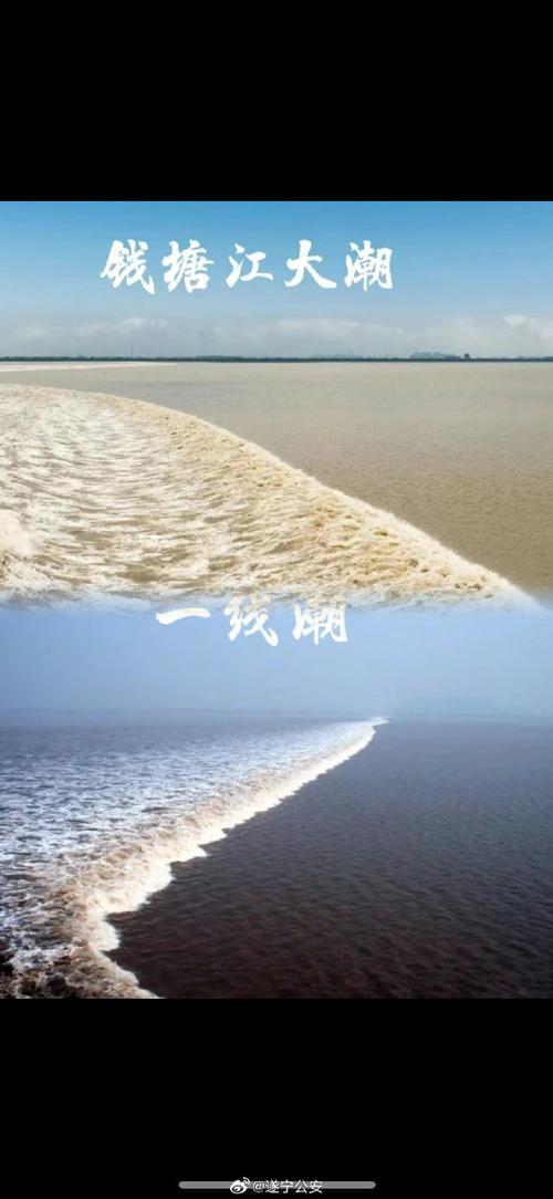“钱塘江同志”又双叒叕立功了!