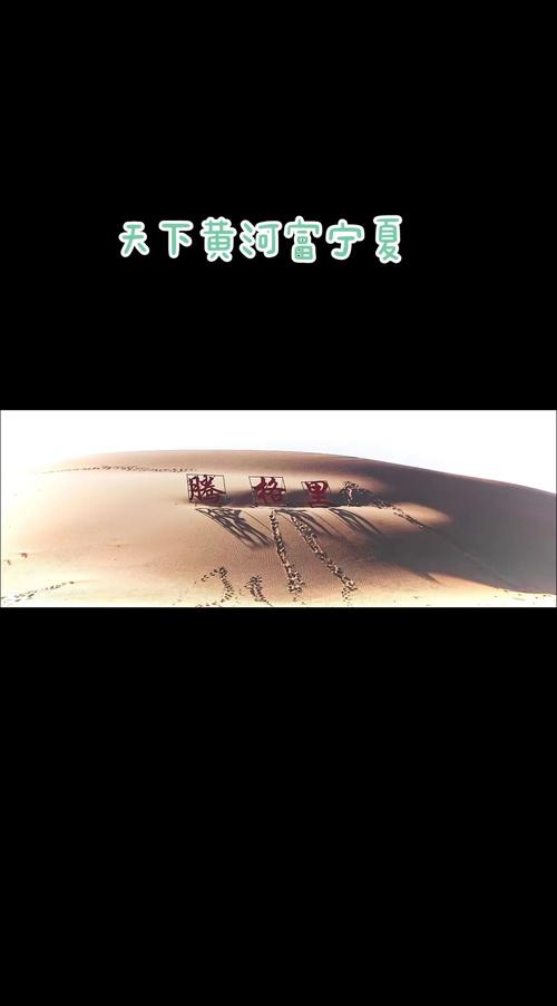 黄沙变绿地 宁夏咋就变得“水灵灵”了?