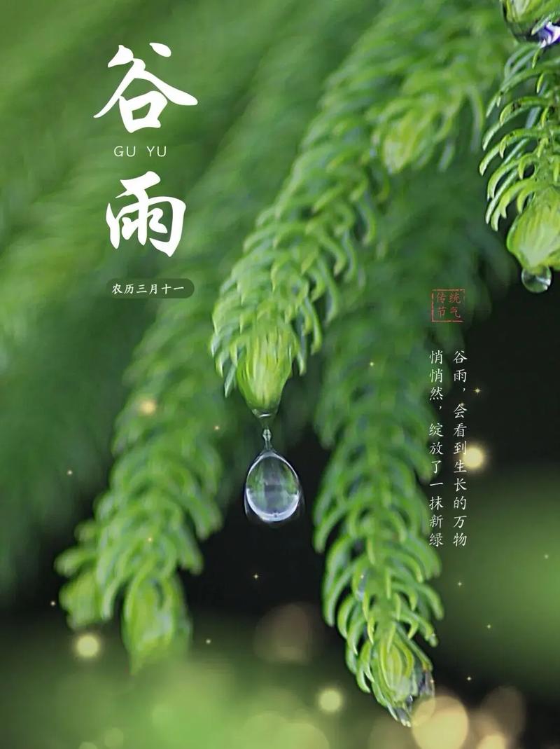 谷雨“牵手”中文日 汉字何以与节气相遇?