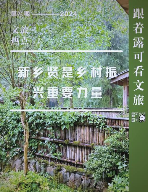 (乡村行·看振兴)因地制宜发展乡村运营 江西安义新乡贤助力文旅振兴