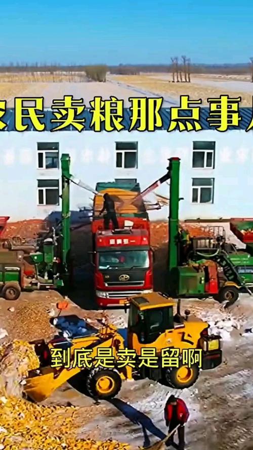 湖北枣阳市——农民卖粮“最后一公里”更通畅(产粮大县探丰年)