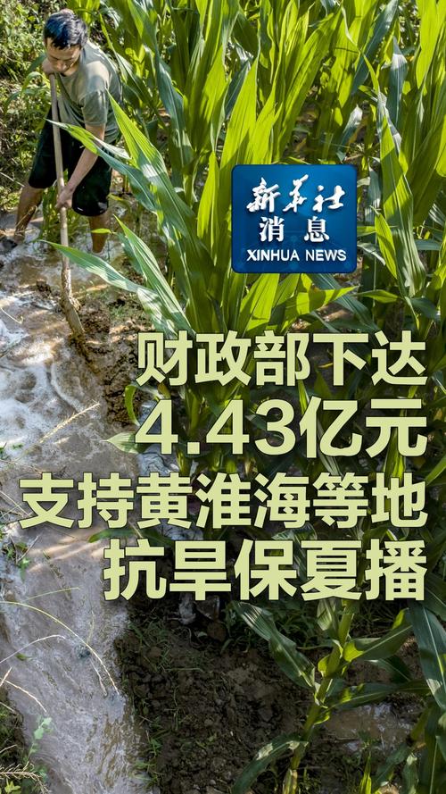 财政部下达4.43亿元支持黄淮海等地抗旱保夏播