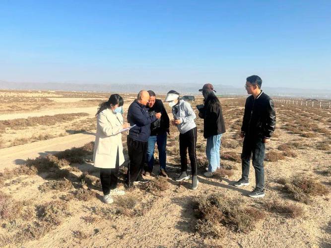 (身边的变化)“国家林草乡土专家”任二换:让戈壁荒漠变成绿水青山