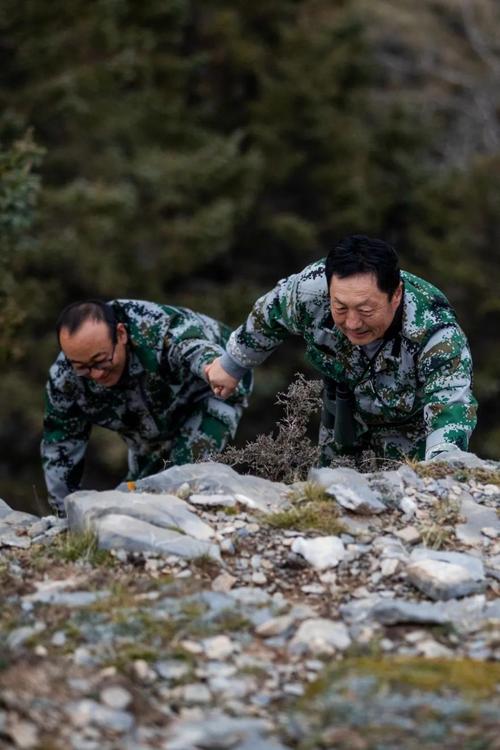 (身边的变化)贺兰山“守绿人”:三十年 两代人 一片林