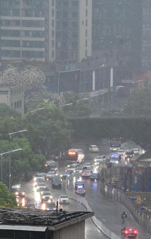 雨雨雨!未来三天湖南大部有雨,湘北局地大雨