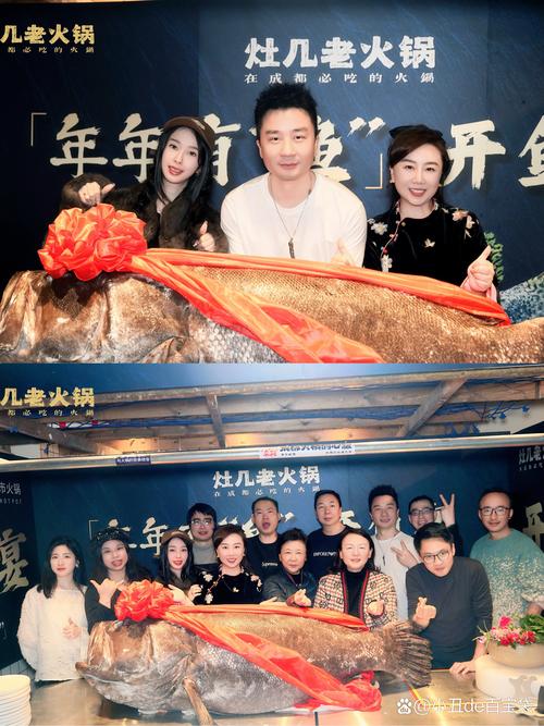 法式汤游来了“中国鱼”?“小清新”爱上了“小鲜肉”?这场巅峰竞演即将开启