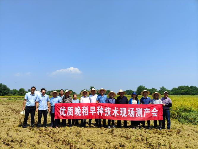 萍乡做强水稻制种业促增产增收