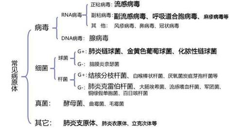 国家卫健委:冬季呼吸道疾病不同年龄群流行的主要病原体详解