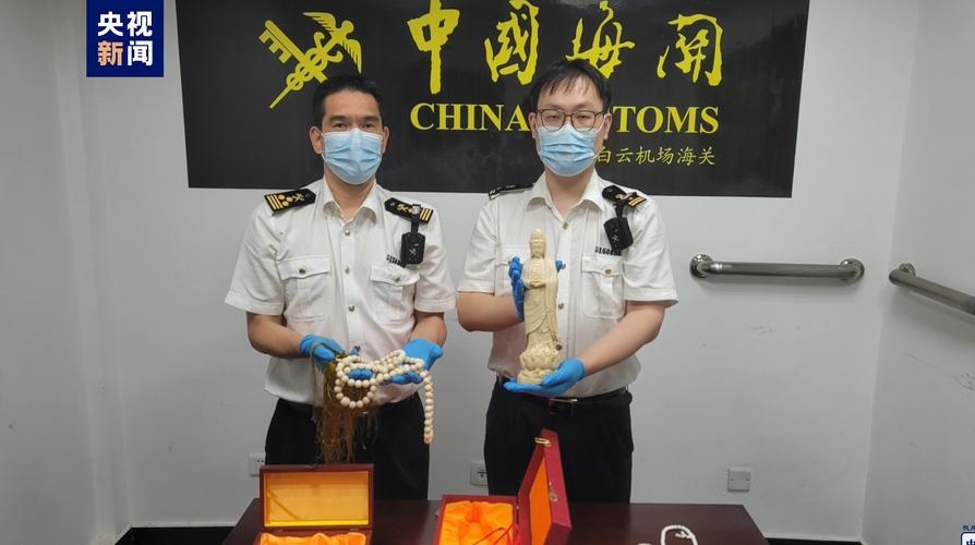 西九龙站海关查获进境旅客藏匿走私宝石案 共计250粒