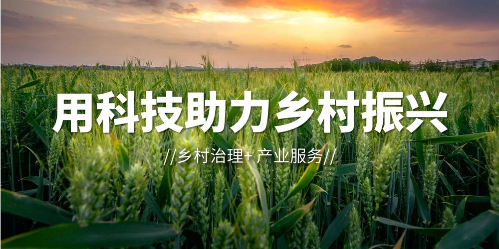 产业赋能亮点多 乡村振兴道路宽