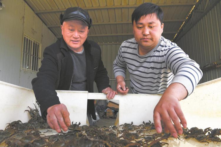 漳州:返乡“新农人” 逐梦田野间