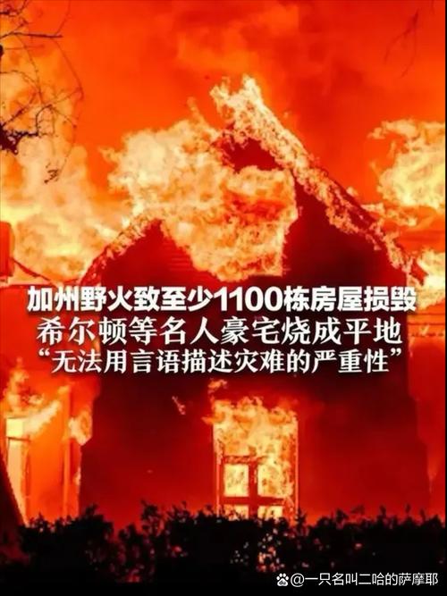 美加州突发大火 多栋住宅被烧毁 一嫌疑人被捕