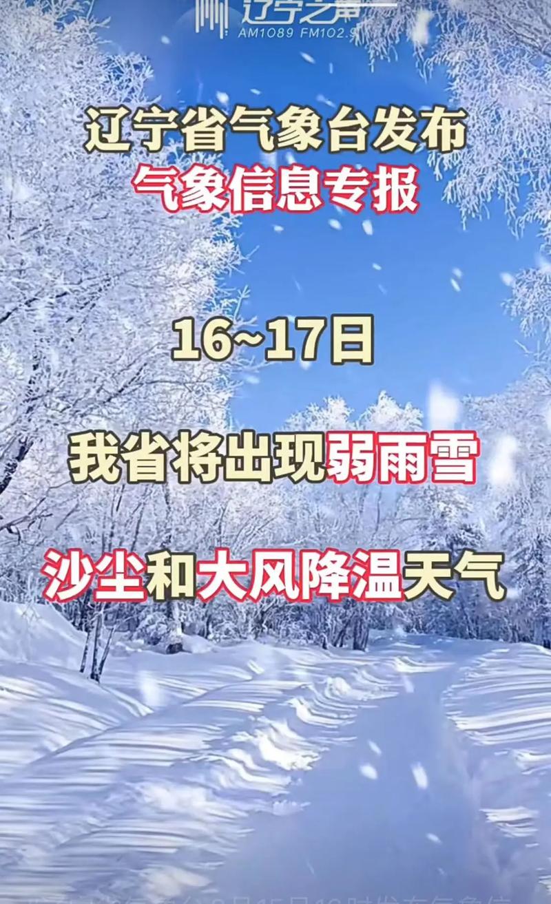 辽宁省金州区发布大风蓝色预警_11