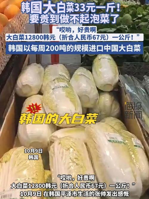 韩国国产果蔬价格高企 中国蔬菜进口量出现猛增