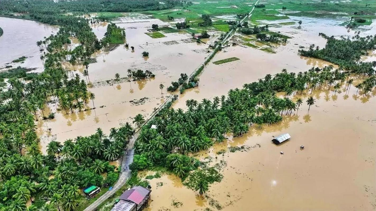 菲律宾南部降雨已致超49万人受灾