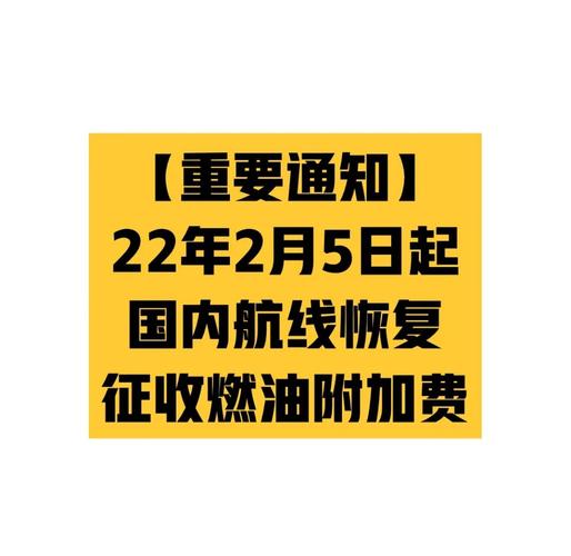 燃油附加费新年首降,1月5日起执行,可降低春节出行购票成本