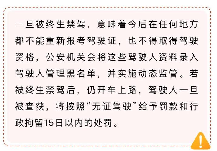 违法王!湖南男子开车10年被记278分,交警:累计罚款2万