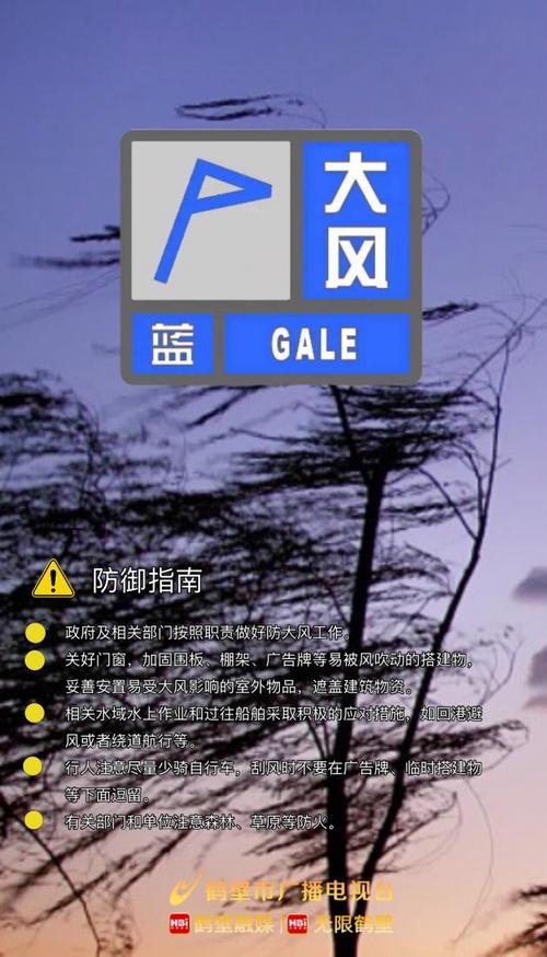 辽宁省东港市发布大风蓝色预警_8