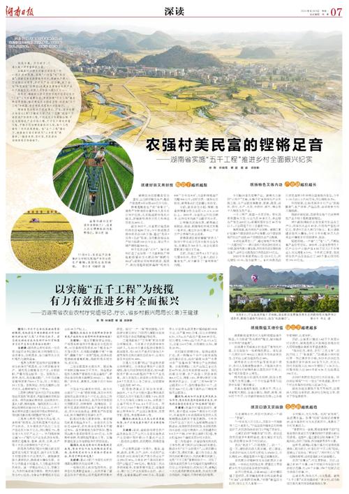 (乡村行·看振兴)湖南浏阳发展大棚经济带动农民增收