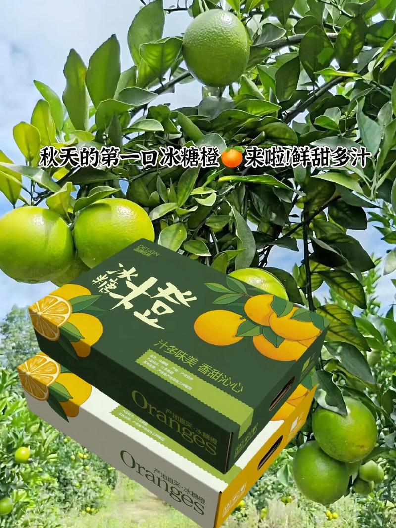 高科技把握品控 秋天的第一口鲜甜“橙”意满满